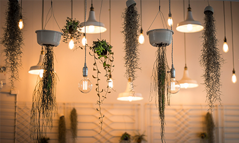 LED Plant Lighting: A Collection Of 6 Essential Essentials
