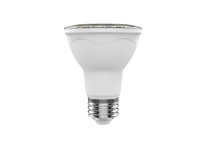 par20 bulb