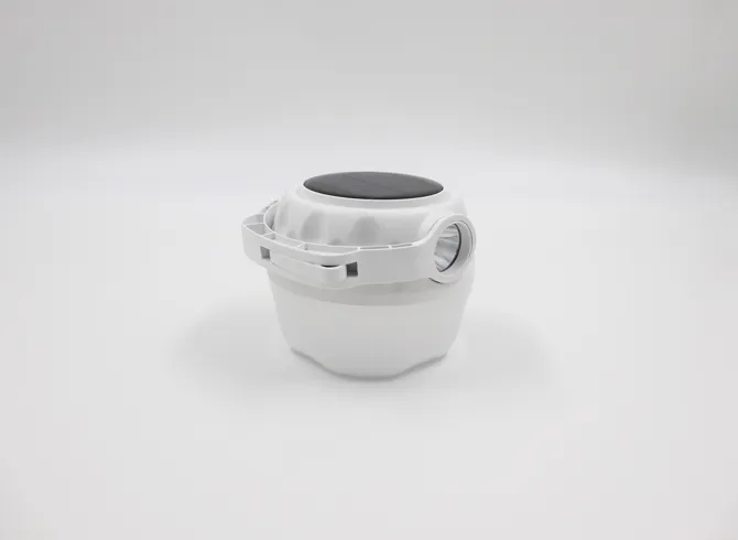 Strawberry Solar Light