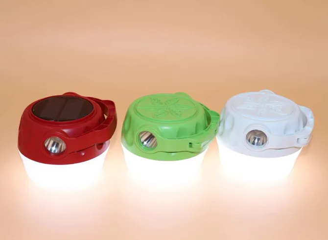 Strawberry Solar Light